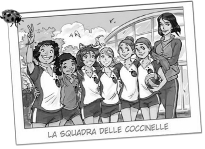 coccinelle-volley-star